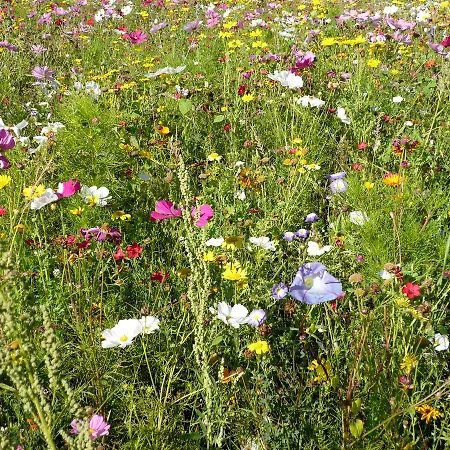 Griesser Guest house Kaprun